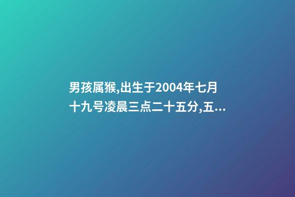 男孩属猴,出生于2004年七月十九号凌晨三点二十五分,五行缺什么 2004年属猴时辰命运，2004年几点出生更好